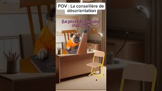 POV: La conseillère de désorientation #chatdrole #catmemes #humour #drole #sketch