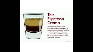 what are the three layers of espresso#barista#coffee #espresso #viralshort