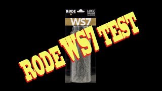 Rode WS7 Windshield on NTG3 Test