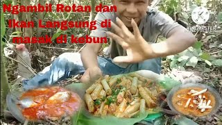 Ambil Rotan di hutan dan memasak nya dengan ikan langsung di santap di alam#masakdihutan