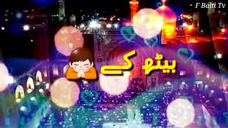 11 Zilqad Whatsapp Status 2020 | Wiladat Imam Ali Raza a.s Whatsapp Status | Mola Raza | F Balti Tv
