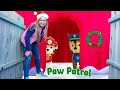 Assistant Searches for Paw Patrol While Exploring and the Dogs of Christmas