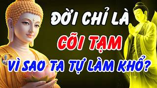 Đời Chỉ Là Cõi Tạm! Lời Phật Dạy Khiến Nhiều Người Bừng Tỉnh: Vì Sao Ta Phải Tự Làm Khổ Mình?