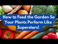 How to Feed the Garden So Your Plants Perform Like Superstars!