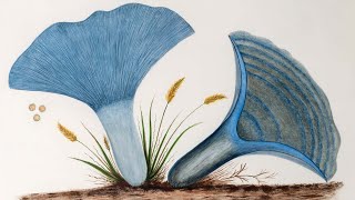 Mary Banning: Her Science and Artistry