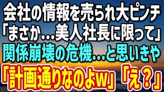 【感動する話】ライバル企業に情報を流され大ピンチの俺「あの美人社長が騙すなんて…」→意を決してその理由を尋ねると「実は…」全く予想してない答えがそこに…