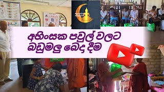 අහිංසක පවුල් වලට බඩුමළු බෙදා දුන් දානමය පිංකම් මාලාව