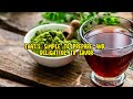 diy moringa tea recipe how to make moringa tea from fresh leaves