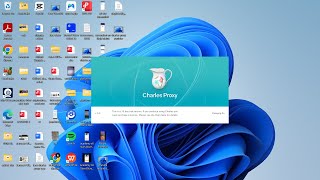 How to set up Charles Proxy for PC & How to collect Charles Proxy logs For PC