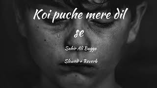 Koi Puche mere dil se | Slow and Reverb | #Slow #sad