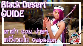 Black Desert Guide - หา CON ง่ายๆ ด้วย Daily Quest ใน Calpheon