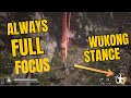 Wukong Stance Always Full Focus - True Ending NG+ - No Commentary