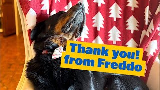 Thank you From Freddo