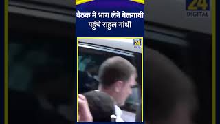 CWC बैठक में भाग लेने बेलगावी पहुंचे Rahul Gandhi | #rahulgandhi #belagavi #karnataka #shortsyoutube