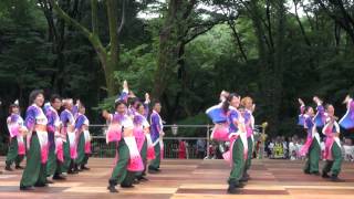 桜家一門YOSAKORI隊＠2015　原宿スーパーよさこい