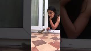 Sandalwood Actress Nishvika Naidu's Animal Love 😍