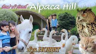 อัลปาก้าฮิลล์ Alpaca Hill สวนผึ้ง EP.3 : ชมบ้าน Hobbit ฮอบบิท ให้อาหารแมว แกะ ม้า เก็บไข่ | การัณย์