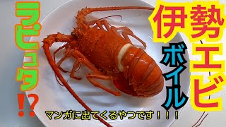 活伊勢海老🦞をボイルしたら憧れのラピュタ飯風！おめでたい色で贅沢感満載！boiled Japanese lobster