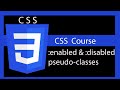 CSS Style form elements ( :enabled and :disabled pseudo classes )