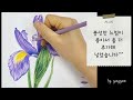 아이리스 보태니컬아트 꽃그리기 색연필화 그림강의 iris botanical art @by.gonggam