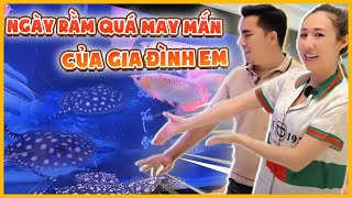 Bé cá Sam nhà em Như đẻ rồi mọi người ơi, ngày rằm quá may mắn…