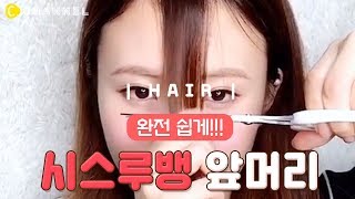 [헤어] 완전 쉽게 3 step 시스루뱅 자르는 방법💖 | 씨채널 코리아