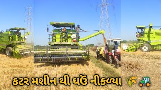 ઘઉં નીકળી ગયા 🌾 || કટર મશીન થી ઘઉં નીકળ્યા 🌾🚜 || JIGNESH GOLA FARM VLOG || #viral #vlog