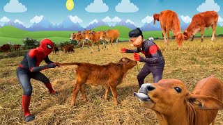 grass fed cow,Cow,animal videos,funny cow videos,cow sounds,cow videos,cow videos with sound