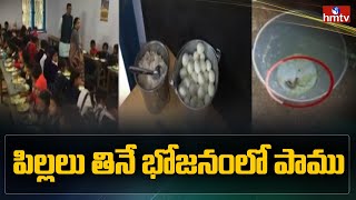 పిల్లలు తినే భోజనం లో పాము | Snake In Children's Food | hmtv