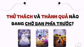 Thử thách và thành quả nào đang chờ bạn phía trước? 🍂🍄‍🟫🐿️ - Chọn tụ bài (Timeless)