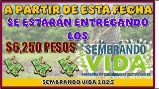 💵📆 ¡Comienza la entrega! $6,250 de Sembrando Vida 2025 a partir de esta fecha