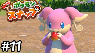 【Newポケモンスナップ】タブンネがこんなに可愛いなんて初めて知ったよ【実況】#11