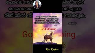 ഒന്നുകിൽ നിങ്ങൾ രാജാവിനെ ..... Good Morning