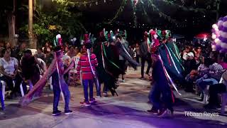 Danza de 3 colores de Santa Cruz Huejutla hgo.