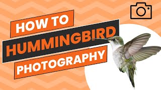 Hummingbird Photography - Gear, Settings \u0026 Tips!