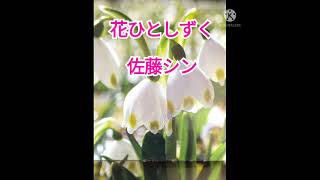 佐藤シン『花ひとしずく』あなたの大切な方を思うが唄を！