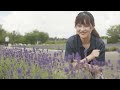 真木真昼の麓 美郷町編｜pure mountains