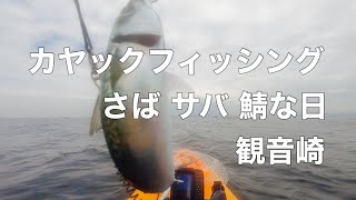 カヤックフィッシング さば サバ 鯖な日 観音崎沖にて