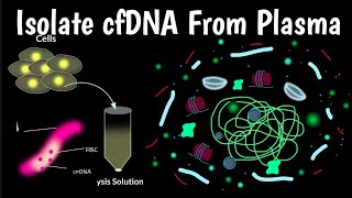 Isolate cfDNA From Plasma | Cell Free DNA Extraction & Purification |