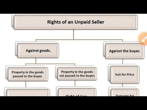 UNPAID SELLER || RIGHT || TY B.COM || SEM 5 || MSU || - YouTube