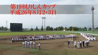 20140802もりしんカップ：帯島vs雫石