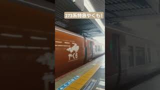 273系特急やくも出雲市行き岡山駅発車!＆食パン停車中 #shorts #鉄道 #jr西日本 #特急やくも #273系 #岡山駅 #115系 #食パン