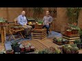 Spark Up Succulent Design | Jay Arredondo | Central Texas Gardener