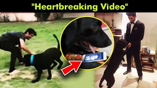 Sushant Singh Rajput's Pet Dog Heartbreaking Video Waiting For Him TO COMEBACK