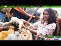 GALIFF STREET PET MARKET! KOLKATA DOG MARKET! GALIFF STREET! GALIFF STREET FISH MARKET! DOG PUPPY