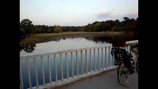 服部緑地白鳥橋からの風景