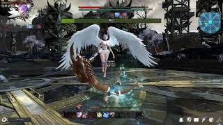 [Vindictus TW] Sword Lann Laura Solo 41:18 / 雙刀-利斯塔 Solo 勞拉