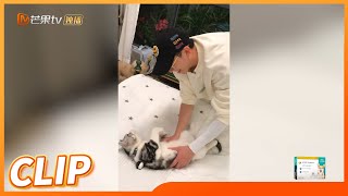 白举纲上演大型撸猫现场 《去野吧！毛孩子》Be Wild,Pets！EP6丨MangoTV