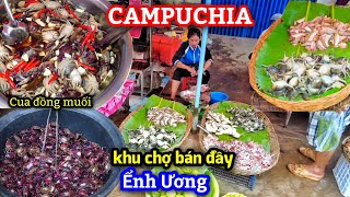 Khám phá Campuchia #22 - Loài vật ghê rợn bán khắp nơi trong chợ Campuchia, nó có ăn được không?