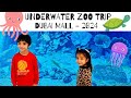 Underwater Zoo Adventure at Dubai Mall! 🌊🐠 Akbar & Deeju's Epic Exploration!